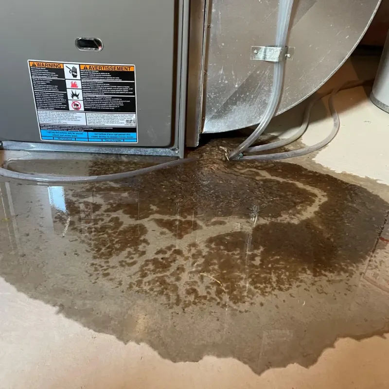 Appliance Leak Cleanup in Dooms, VA